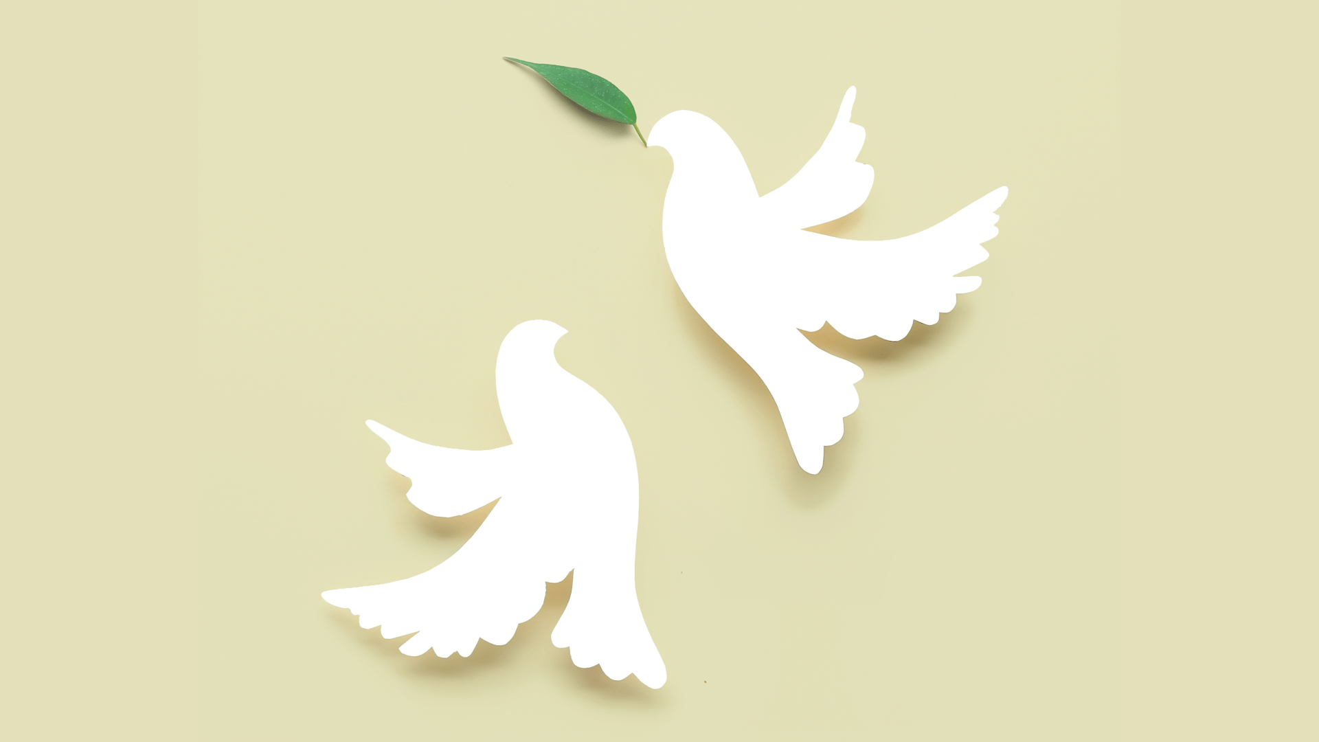 Vredes duiven
