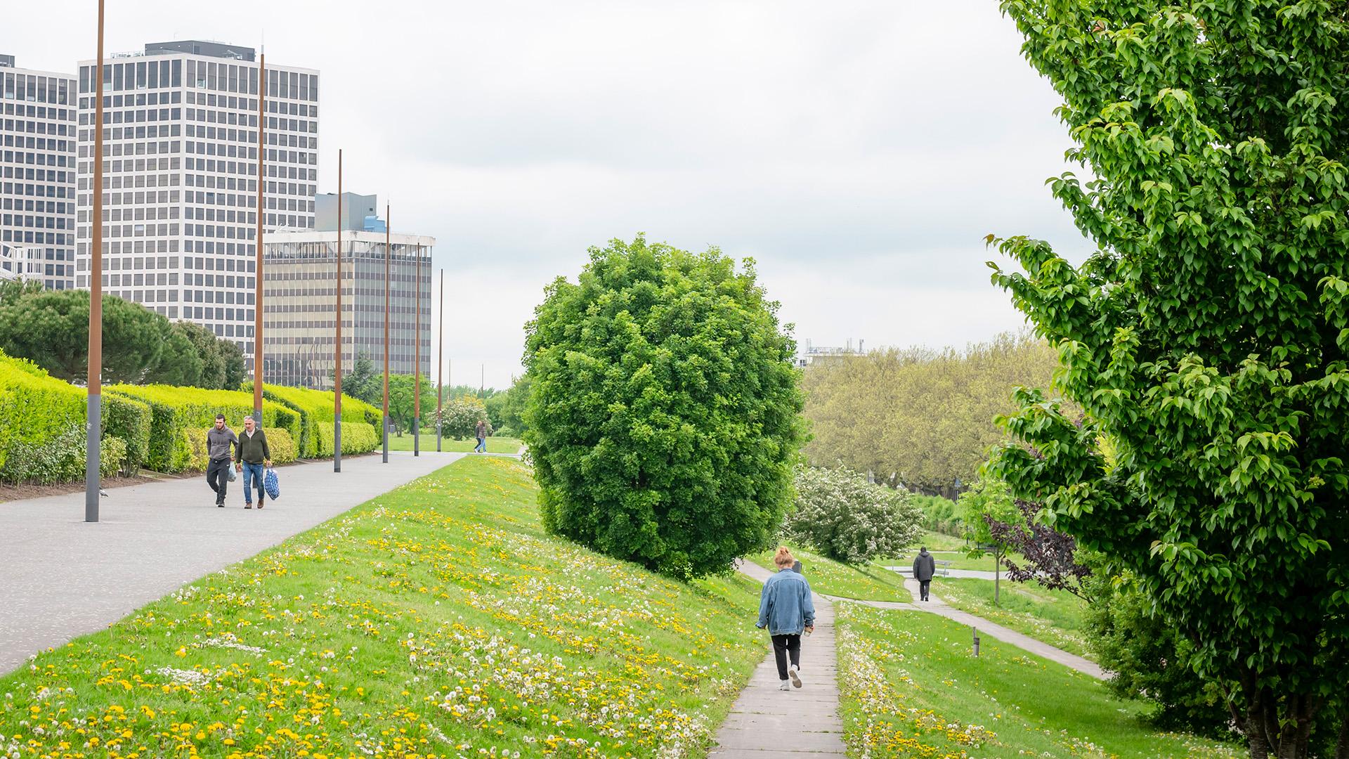 Groen gebied in de stad - Foto Robert Lagendijk ┬® 2024