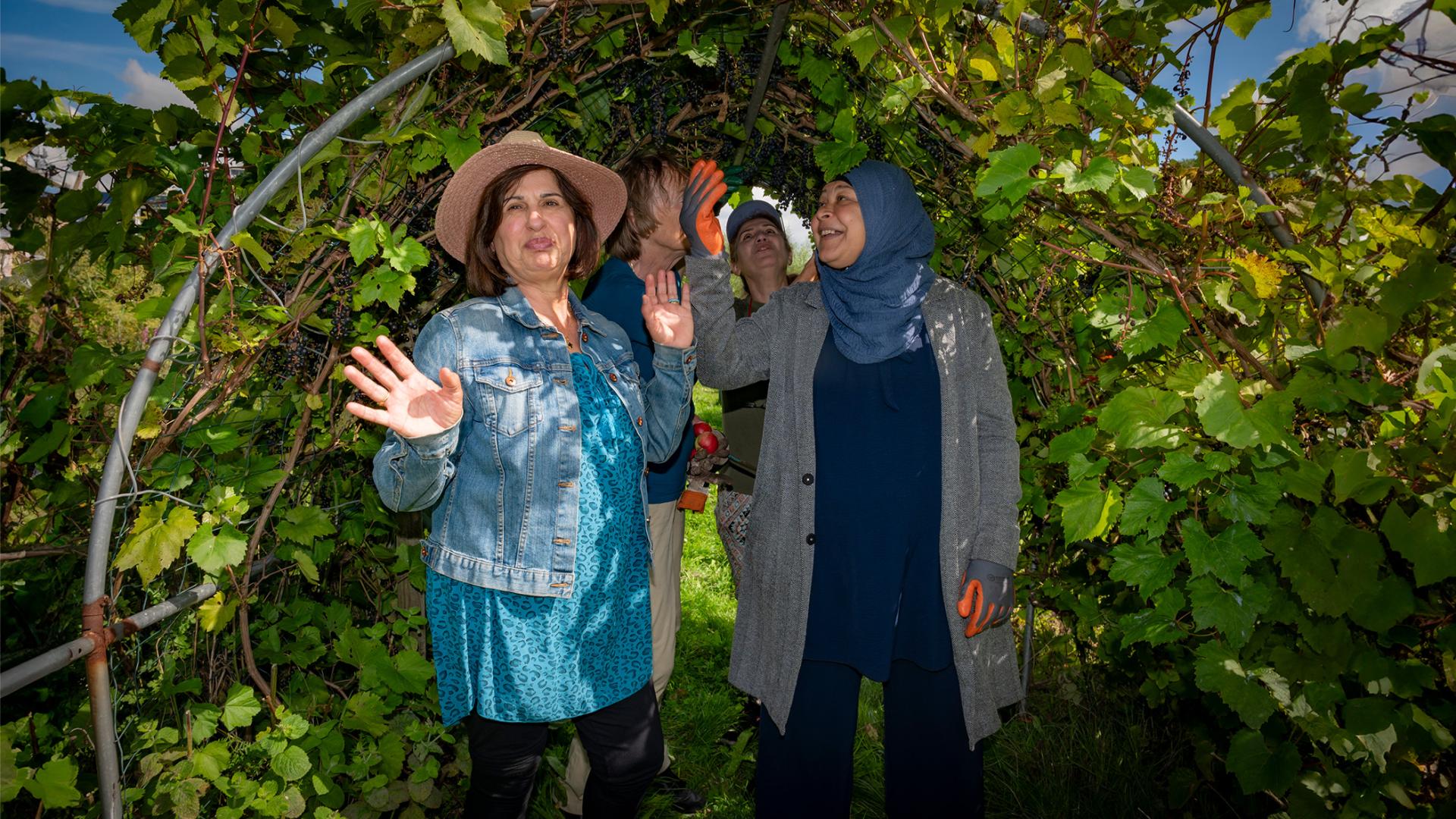 Vrouwen in de tuin